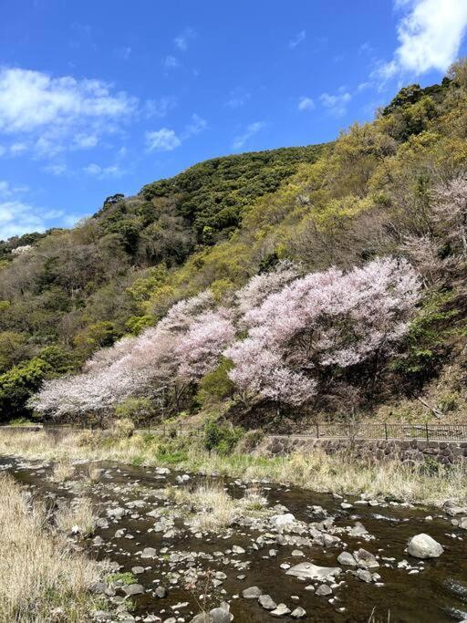御浜岬の至福を一身に味わう 一軒家貸切宿で贅沢なバーベキューを楽しみながら夕陽に染まる戸田湾の美しさを満喫 Нумадзу Екстериор снимка